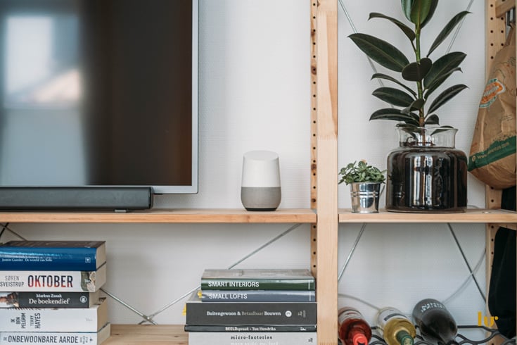 Shelf with a tv, plants, and a google home device.