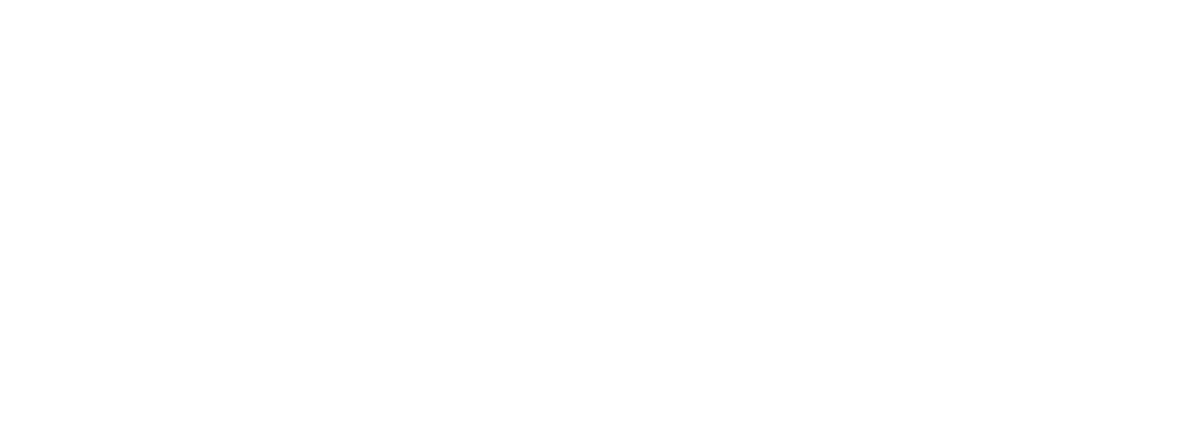 LXT Logo White
