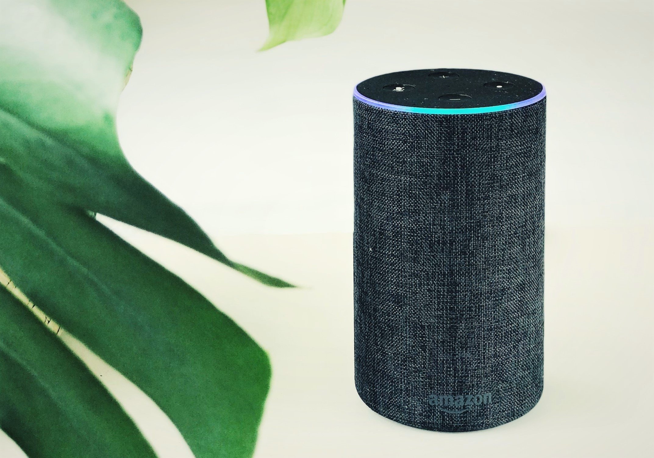 How Voice Assistants Are Helping the Environment—and How They Could Do More