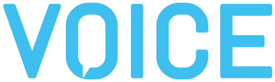 voice_logo